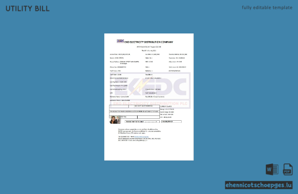 Beispielrechnung der Nigeria Eko Electricity Distribution Company (EKEDC)